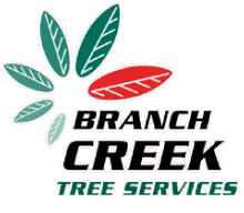 Branch Creek Tree Services | Tree Service Sunshine Coast